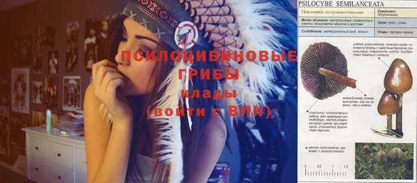 твердый Абинск